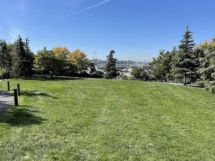Pier 5 Uplands Lawn Picture 9