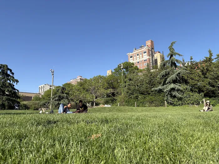 Pier 5 Uplands Lawn Picture 6