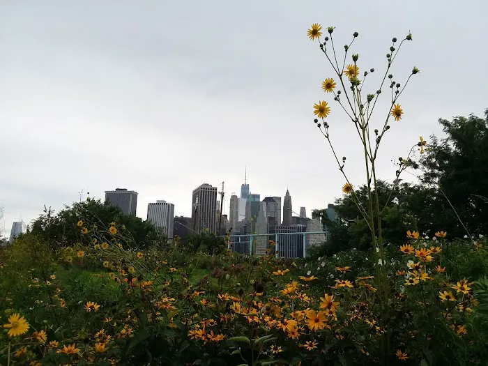 Brooklyn Bridge Park Pier 6 Picture 6