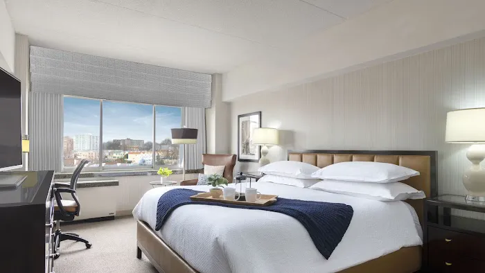 The Stamford Hotel Picture 3