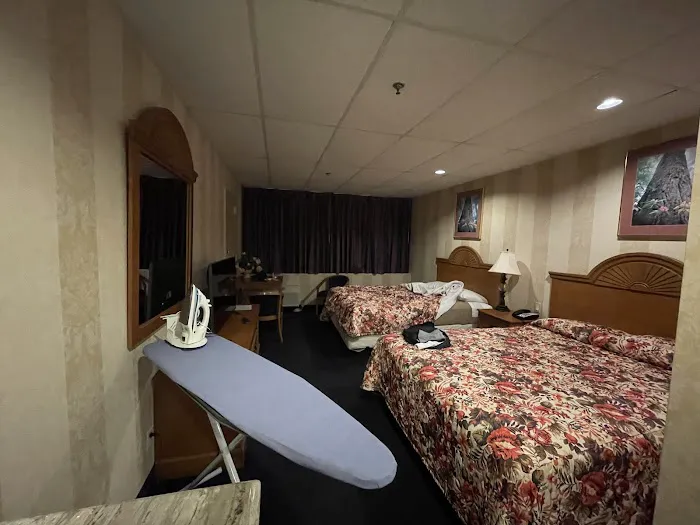 Amsterdam Hotel Picture 4