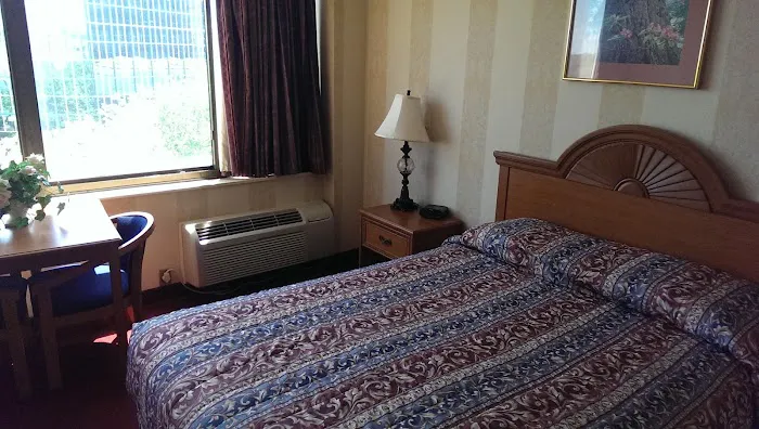Amsterdam Hotel Picture 5