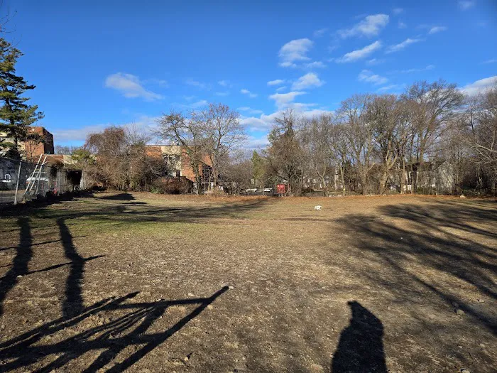 Stamford Dog Park Picture 5