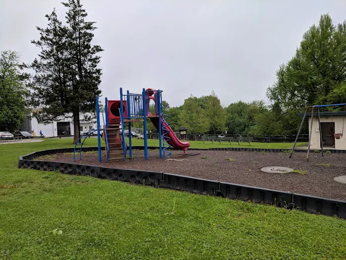 Stamford Dog Park Picture 8