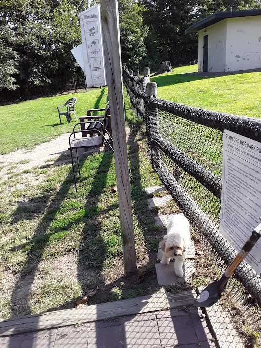 Stamford Dog Park Picture 9