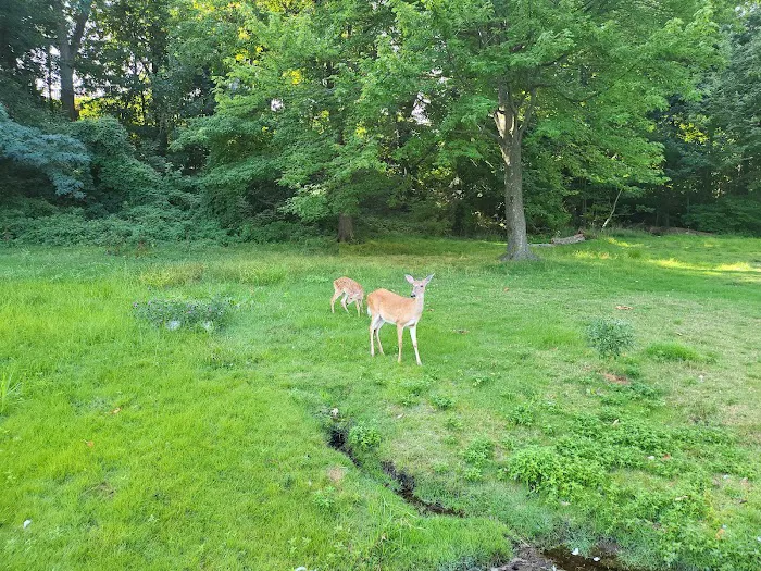 Samuel Nelkin County Park Picture 2