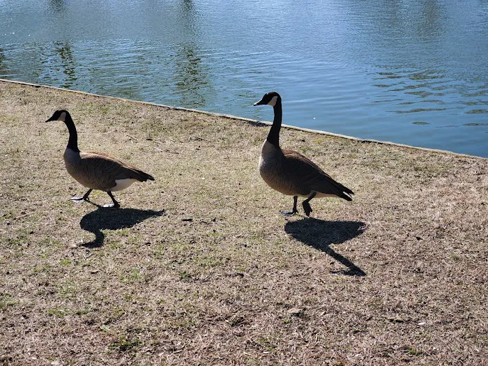 Samuel Nelkin County Park Picture 3