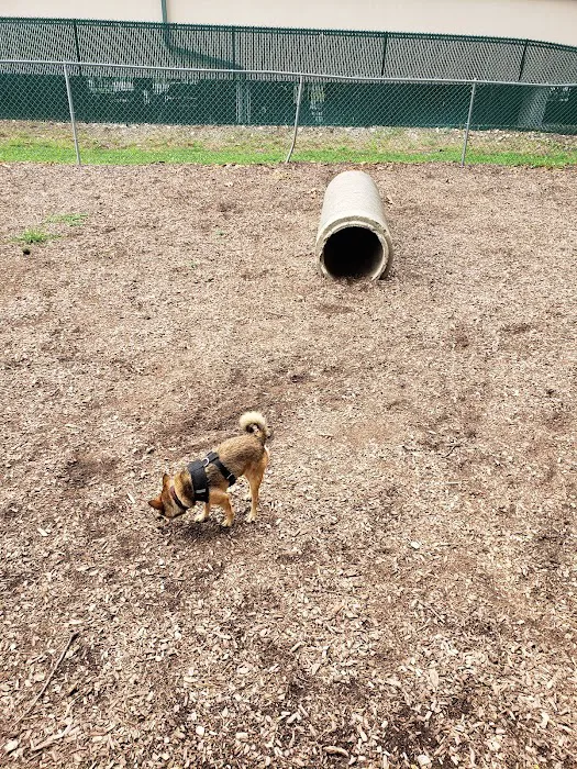 Dog Park Picture 7