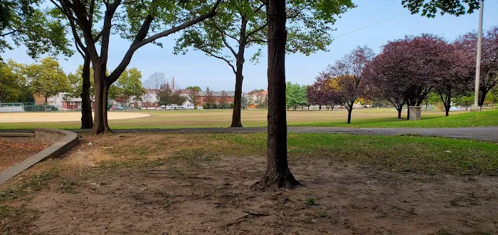 Dog Park Picture 4