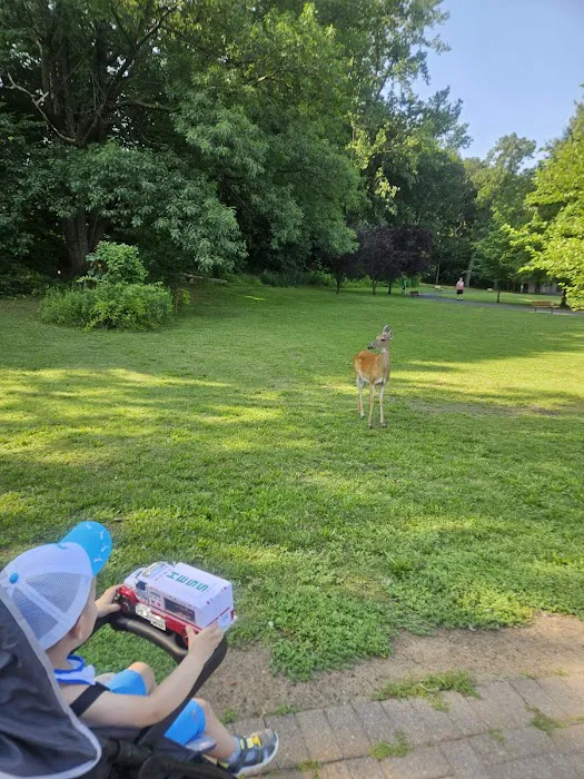 Dog Park Picture 6