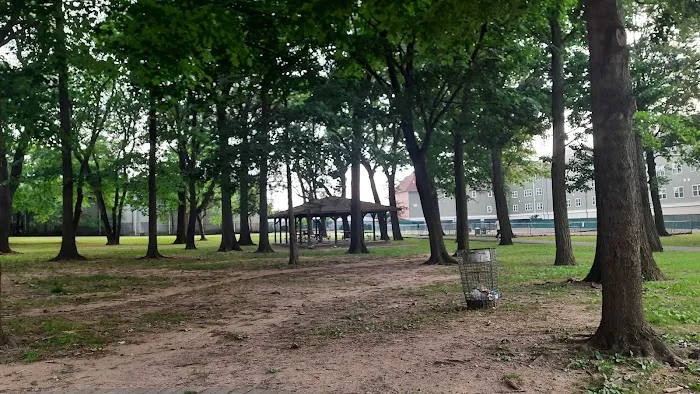 Dog Park Picture 8
