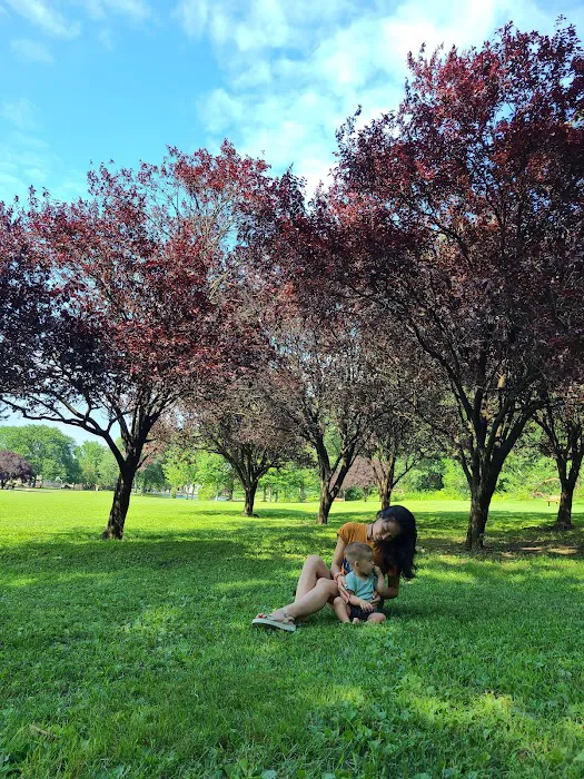 Dog Park Picture 2