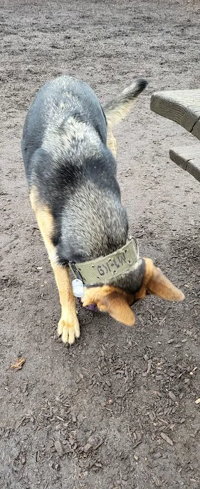 Dog Park Picture 9