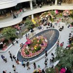 American Dream Secret Garden