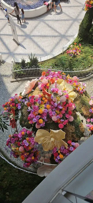American Dream Secret Garden Picture 3