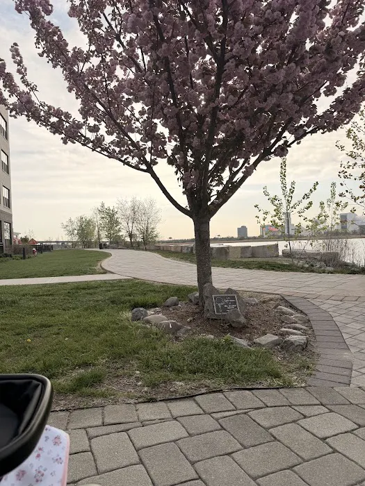 Trolley Park Picture 9
