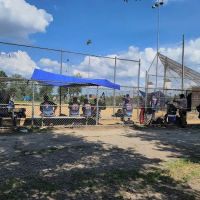 Dundee Island Park ico