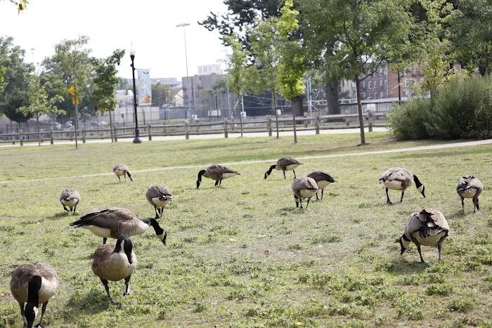 Pulaski Park Picture 9