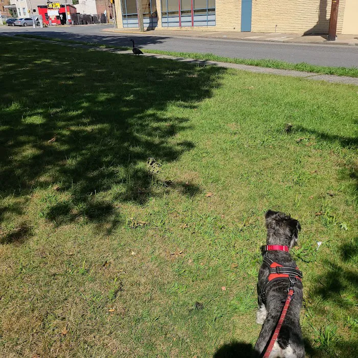 Armory Park Picture 6