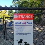 Armory Memorial Dog Park