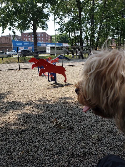 Armory Memorial Dog Park Picture 10