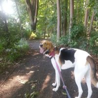Artesian Fields County Park ico