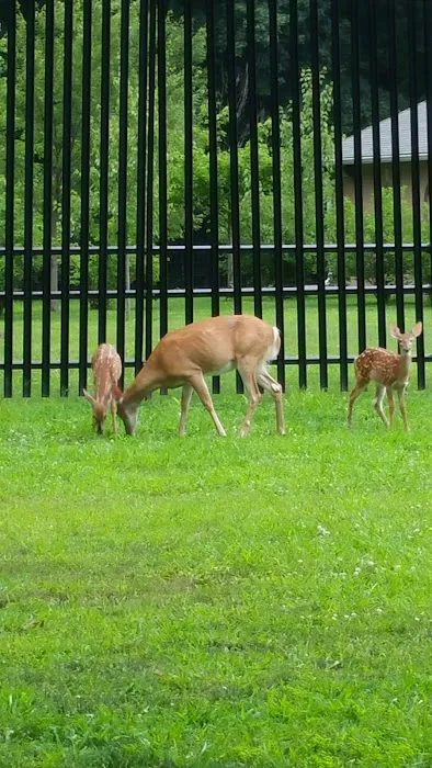 Artesian Fields County Park Picture 8