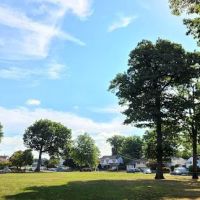 Elmwood Drive Park ico
