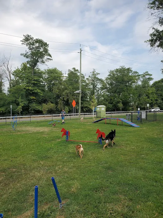 Elmwood Park Dog Park Picture 8
