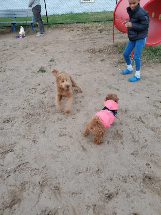 Elmwood Park Dog Park Picture 2