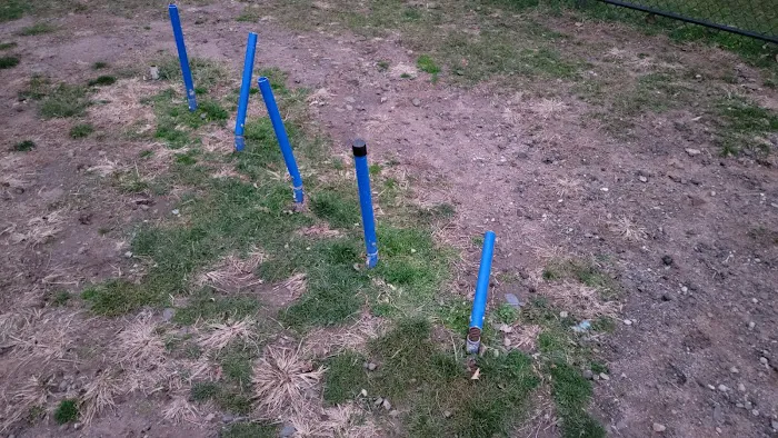 Elmwood Park Dog Park Picture 9