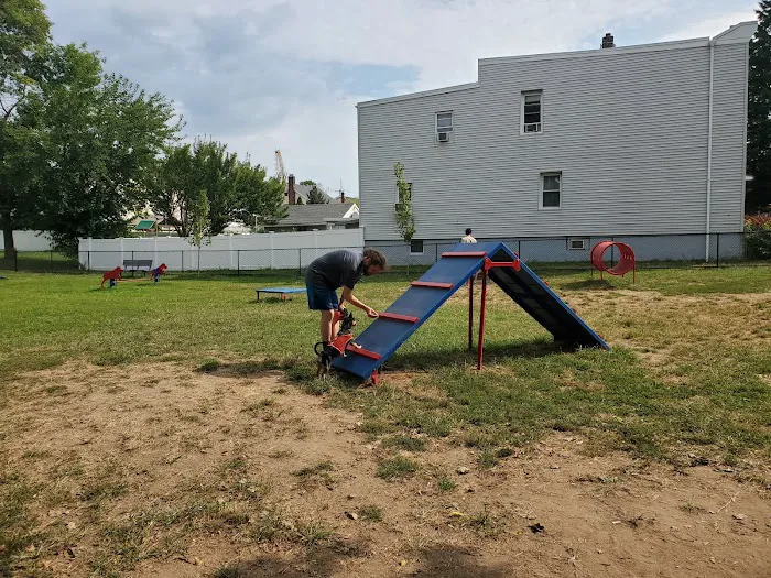 Elmwood Park Dog Park Picture 6