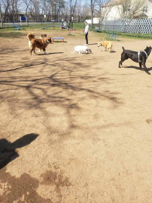 Elmwood Park Dog Park Picture 10