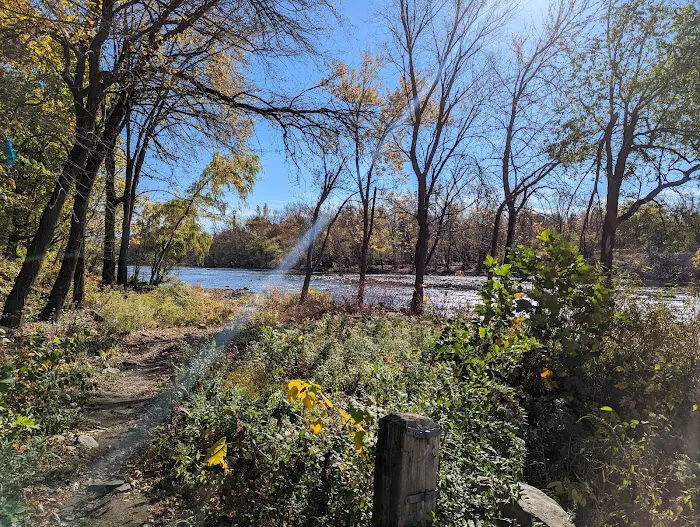 Post Ford Park Picture 2