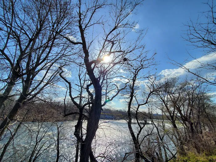 Passaic River Falls Picture 10