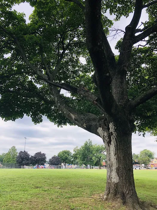 Nash Park Picture 5