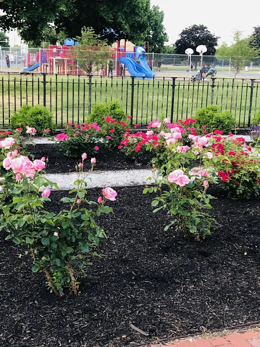 Nash Park Picture 4