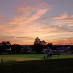 Nash Park