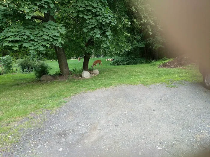 Ridgewood Muncipal Park Picture 4