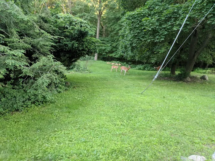 Ridgewood Muncipal Park Picture 10