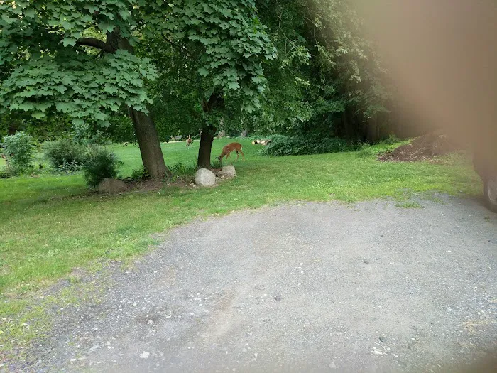 Ridgewood Muncipal Park Picture 3