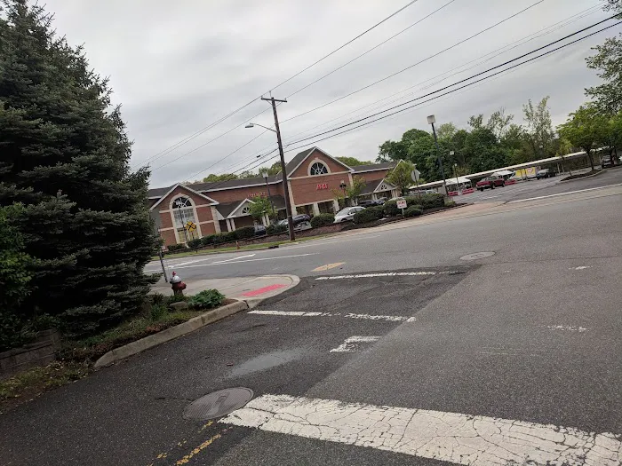 Ridgewood Muncipal Park Picture 1