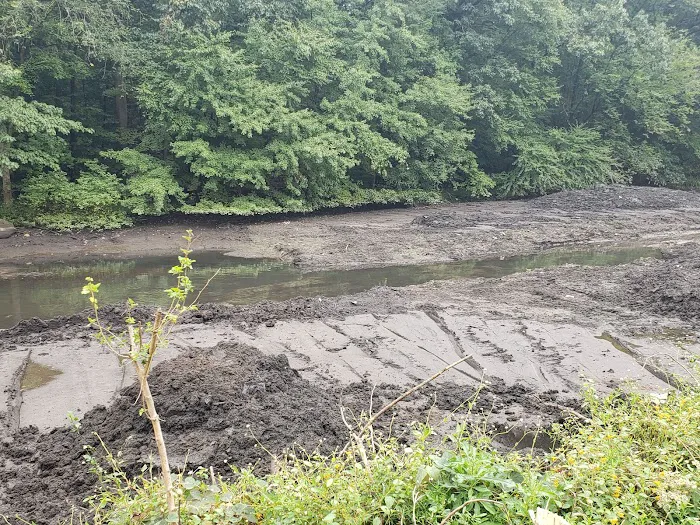 Gypsy Pond Park Picture 1