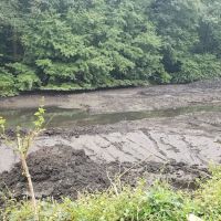 Gypsy Pond Park ico