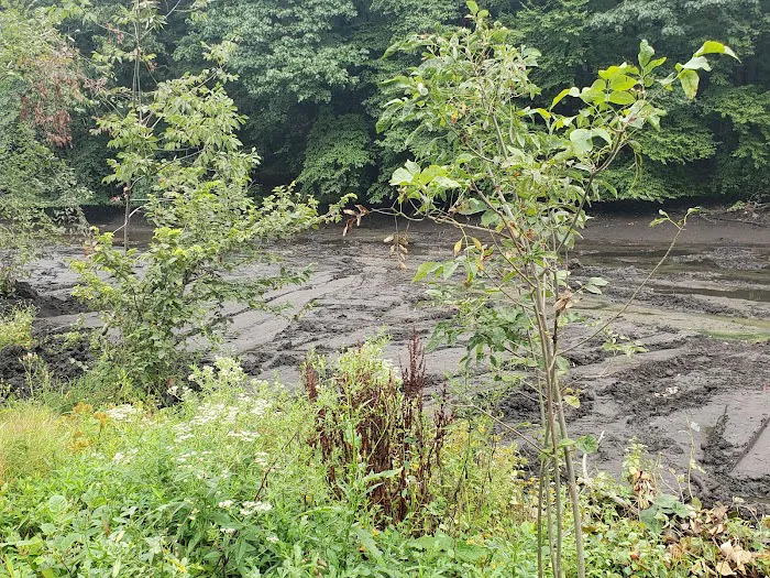 Gypsy Pond Park Picture 2