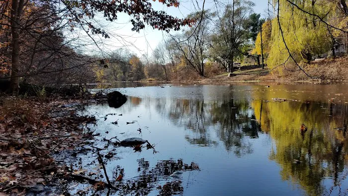 Gypsy Pond Park Picture 7