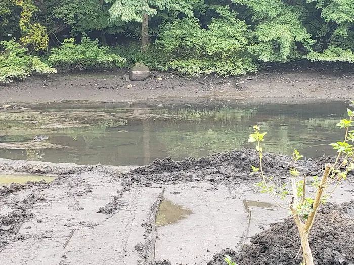 Gypsy Pond Park Picture 6