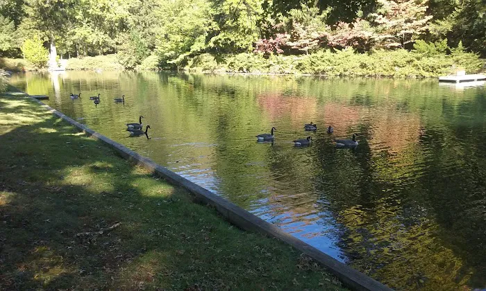 Diamond Brook Park Picture 8