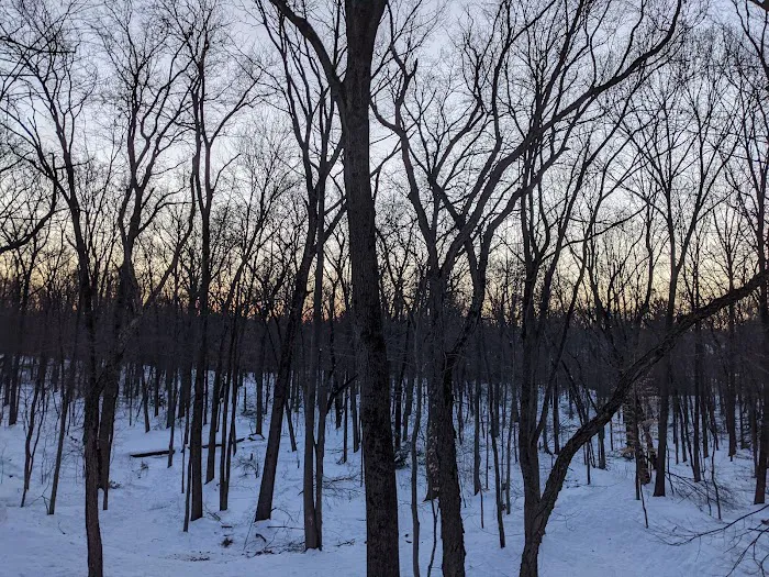 Diamond Brook Park Picture 2