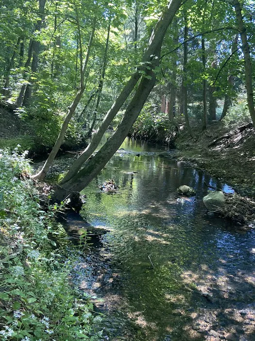 Diamond Brook Park Picture 10